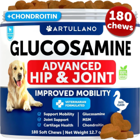 Glucosamine For Dogs Hip And Joint Supplement For Dogs With Arthritis Chews With Chondroitin Hemp Oil MSM Canine Joint Pain Relief Health Mobility Sup