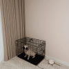 30-inch Black Wire Dog Cage Double Lock Mechanism Double Door Single Handle Single Bolt