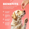 Dog Flea And Tick Treatment Chews FleaTick Prevention For Dogs Chewables Natural Dog Flea & Tick Control Soft Treats Immune Support Supplement CANNOT