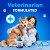 Probiotics For Dogs Support Gut Health Itchy Skin Allergies Immunity Yeast Balance Dog Probiotics And Digestive Enzymes With Prebiotics Reduce Diarrhe