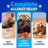 Dog Allergy Relief Chews Itching Skin Relief For Dogs Fish Oil 3 Seasonal Allergies Pills Skin & Coat Anti ItchHot Spots Treatme
